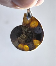 Natural Crystal Ammonite Fossil Pendant 天然水晶 斑彩螺 顺风螺吊坠