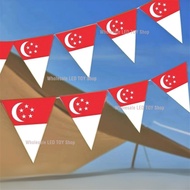 ✨LOCAL SELLER✨Singapore Triangular Flag 14*18cm NDP National Day Red & White triangle banner bunting
