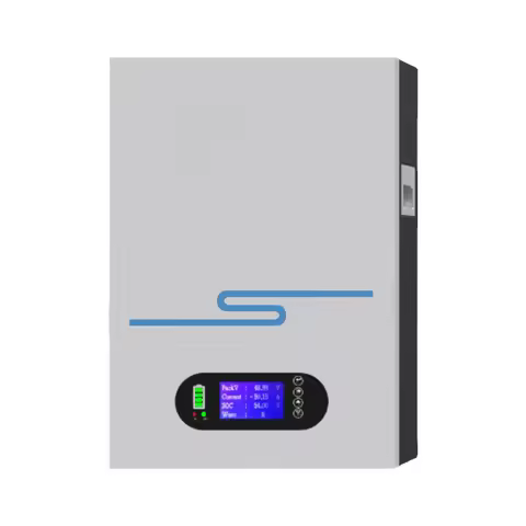 48V 50Ah 100Ah 200Ah Rechargeable LiFePO4 Lithium Battery For Solar Panel Energy Storage Lithium Ion
