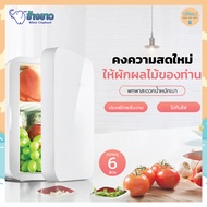 ตู้เย็นมินิ refrigerator 6L ถูก ตู้เย็นเก็บเครื่องสำอาง ตู้เย็นmini ตู้เย็นในรถยนต์ ตู้เย็นจิ๋ว ตู้เ