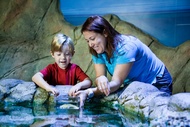 Sea Life Paris Aquarium Ticket