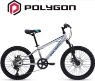 Sepeda MTB POLYGON MAZE 20 sepeda anak laki laki