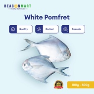 Beacon Mart Fresh Frozen Whole Fish White Pomfret Seafood