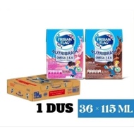 Susu Frisian Flag Uht Kotak Coklat Strawbery 1 Dus 36pcs 115ml