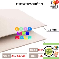 ️ Sugarcane Paper Size 22x30 Inches (A1)/A4/A3 Thickness 1.2 Mm 1.6 Beer Mat Model Design