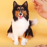 客製化逼真邊境牧羊犬羊毛氈寵物娃娃定製複刻狗猫咪毛小孩公仔