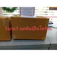 Box 1 Get 1 Free Indo Hundred Women