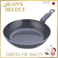 Endo Trading TKG Iron Frying Pan 22cm Inner diameter × Depth (mm): 222 × 45 Handle length (mm): 95 B