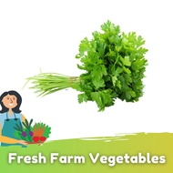 Daun Ketumbar /  Coriander Leaves (100g +/-)