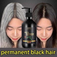 300ml Natural Black Hair Shampoo Hair Dye Professional Wash/Nourish/Dye Grey Hair White Hair Turn To