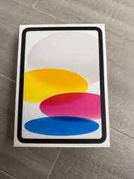 iPad 10th generation 256gb