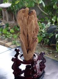 加里曼丹野生沉香老料220公克 星洲水沉香 野生紅土沉香 富森紅土