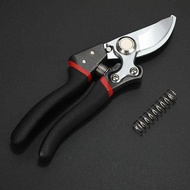 Powerful Tree Trimming Scissors