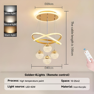 Living room pendant light LED ceiling pendant light indoor pendant light dining room light bedroom p