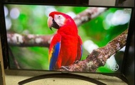 LG 43吋 43inch UN8100 4k 智能電視 smart tv