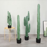 Nordic Simulation Cactus Potted Plant Large Cactus Pillar Ornaments Living Room Decoration Fake Plan