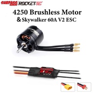 SURPASS HOBBY 4250 720KV 800KV Outrunner Brushless Motor With Skywalker 60A V2 T/XT60 Plug For RC FP