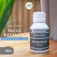 Hormon Murni 500ppm Auksin Sitokinin Giberelin CPPU Paclobutrazol 100ml