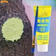 COUMTTEREK Grafting Tree Sealer, 100g with Brush Tree Wound Sealant,  Tree Repair Smear Agent Plant 