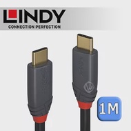 LINDY 林帝 ANTHRA USB 3.2 Gen 2x2 Type-C 公 to 公 傳輸線 + PD 智能電流晶片 1m (36901)
