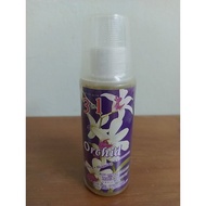 Green Acre Florist & Orchid Shop [3 in 1]