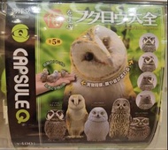 Kaiyodo CapsuleQ Fortune Owl Collection 海洋堂幸運貓頭鷹扭蛋