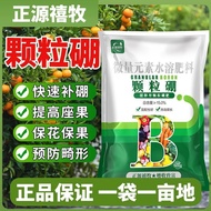 Slow-Release Granular Boron Fertilizer Base Sprinkler Agricultural Boron Fertilizer Trace Element Fe