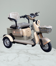 พร้อมส่งฟรีสามล้อไฟฟ้า มอเตอร์ 800 วัตต์ รุ่น New D5 ประกอบเสร็จพร้อมใช้งาน