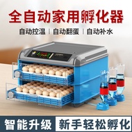 Incubator Small Household Automatic Intelligent Egg Incubator Mini Incubator Chicken Seedling Duck Goose Pigeon Incubator