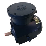 Explosion Proof Motor 1HP (0.75KW) 4Pole 3 Phase B3