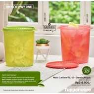 Maxi Canister 5L TUPPERWARE Jar