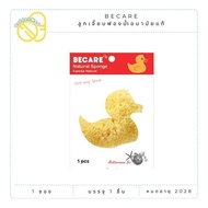 Chicks Or Sanitary Sponges Becare Brand Natural