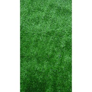 Artificial Grass Mat Roll Foliage High Quality 1 X 2 Meters