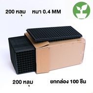 ถาดเพาะกล้า ถาดเพาะเมล็ด ถาดเพาะชำ ถาดเพาะ ถาดเพาะต้นอ่อน เพาะเมล็ด ถาดเพาะไฮโดร 105 หลุม (แบบหนา 0.