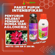 Pupuk Aglonema Untuk Daun Akar / Pupuk Aglonema Perbayak Anakan / Pupuk Aglonema Premium / Pupuk Agl