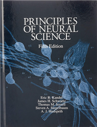 Principles of Neural Science (新品)
