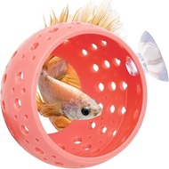 Betta Tunnel, Aquarium Betta Fish Hideout with Suction Cup Fish Tank Tunnel Shrimp Cave Aquarium Dec