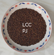 Biji/Benih Kacangan Pueraria Javanica ( PJ ) 500 Gr.