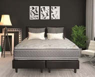 STEVENS ที่นอน RESORTA  รุ่น ECO Support รับประกัน 8 ปี พร้อมรับชุดผ้าปู+นวม และหมอนหนุน