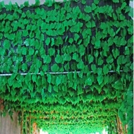 Fake leaf vines, 2m4 long vines decorate shops and houses very beautifully