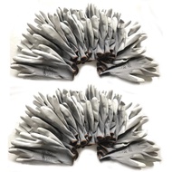 24 Pieces/12 Pairs High Quality Mechanic Protective Glove with PU Nitrile Rubber Coated Palm Safety 