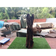 Original Cengal Mas solid wood slab for indoor@outdoor home decor,Garden and fish aquarium