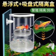 Fish Tank Suspended Guppy Breeding Isolation Box Small Fish Juvenile Fish Fry Phoenix Tail Fish Tank