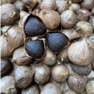 Black Garlic Bawang Hitam Tunggal Bawang Lanang Hitam Bawang Putih Tunggal Hitam 1 Kg
