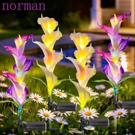 NORMAN 2pcs Solar Garden Light, Colorful LED Automatic Color Changing LED Garden Light, Soft Beautif