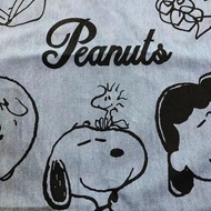 Japanese Single snoopy snoopy Family Peanut Pillow Cushion Cover Coreless Pillow Cover 45X45