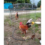 PERKUP/SERKUP UNTUK AYAM SERAMA DAN AYAM LAIN