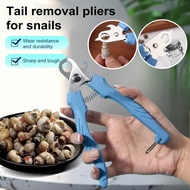 Snail Scissors/Professional Non-slip Stainless Steel Cutter/Snail Escargot Escargot Tail Removal Too