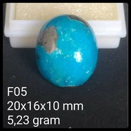 Persian Turquoise F05 Pyrus Turquoise Agatenatural