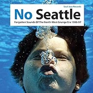 No Seattle - Forgotten Sounds Of The North-West Grunge Era 1986-97